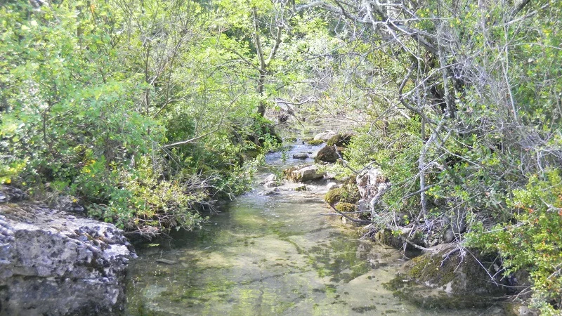 Randonnée le long d’un cours d’eau – Vallon des Étoiles, Ardèche Petit cours d’eau ardéchois serpente paisiblement au départ du Vallon des Étoiles, Ardèche