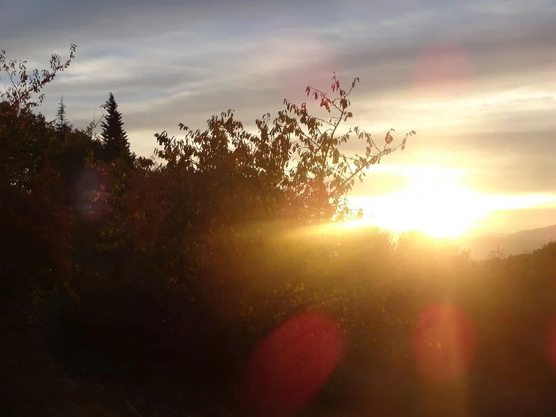 Vallon des Étoiles – Nature au coucher du soleil pour des gîtes en Ardèche du Sud Gîtes en Ardèche du Sud au Vallon des Étoiles, nature au coucher du soleil et paysages dorés
