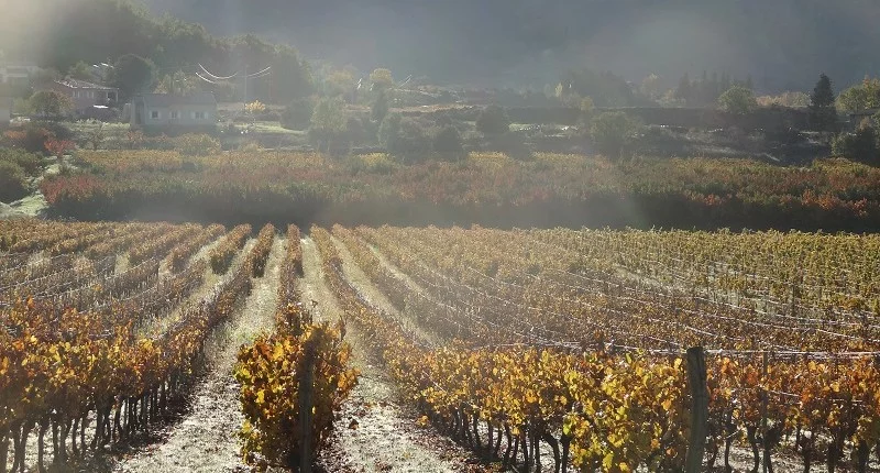 Paysage naturel au Vallon des Étoiles, idéal pour des gîtes en Ardèche du Sud