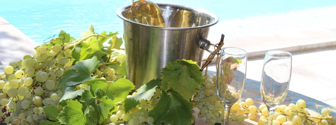 Dégustation de vin devant la piscine du gîte La Bergerie, ambiance chaleureuse et art de vivre en Ardèche, parfait pour couples et familles