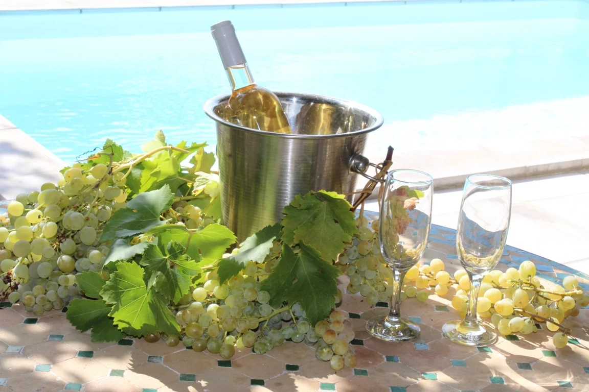 Dégustation de vin devant la piscine du gîte La Bergerie, ambiance chaleureuse et art de vivre en Ardèche, parfait pour couples et familles